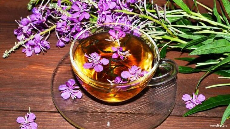 Une décoction de feuilles et de fleurs d'épilobe pour le traitement des maladies masculines