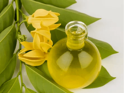 Aromathérapie pour améliorer l'efficacité