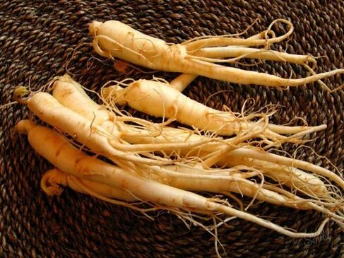 Racine de ginseng pour augmenter la puissance après 60 ans